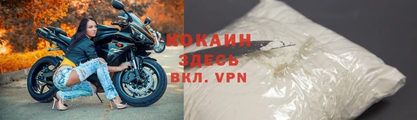 индика Волгодонск