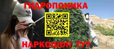 каннабис Гусиноозёрск
