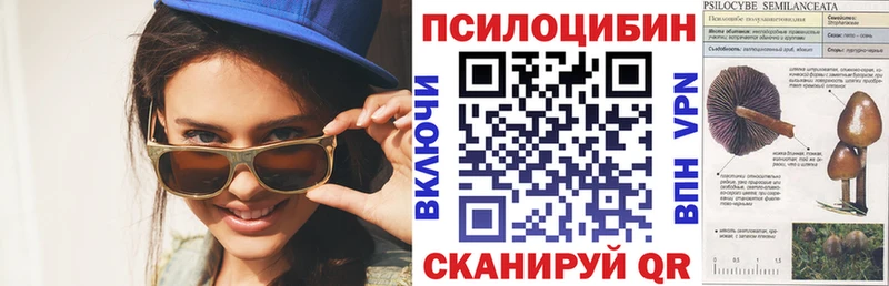 нарко площадка какой сайт Северск Псилоцибиновые грибы MAGIC MUSHROOMS даркнет сайт